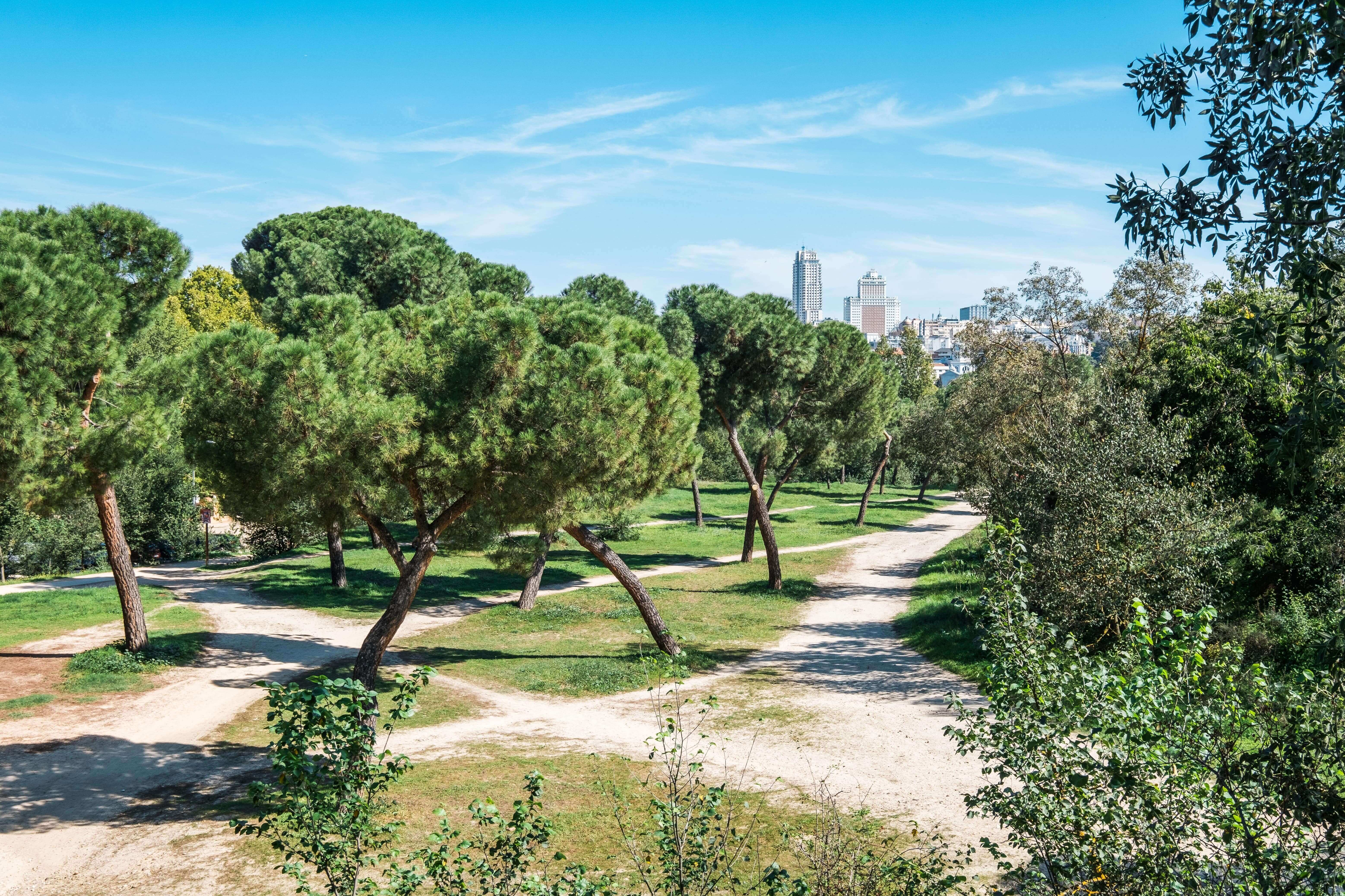 Casa de Campo Park, Madrid